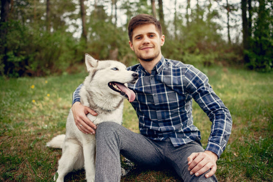The Benefits of Organ Chips for Your Dog’s Health